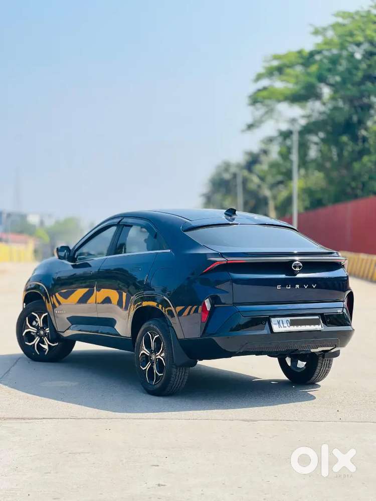 Tata Curvv 2024 Diesel 4000 Km Driven