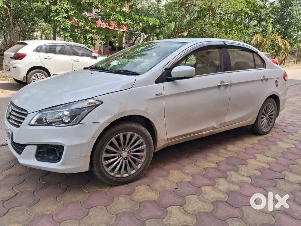 Maruti Ciaz For Sale