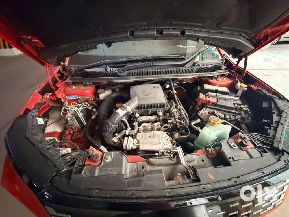 Tata Curvv 2025 Petrol Well Maintained
