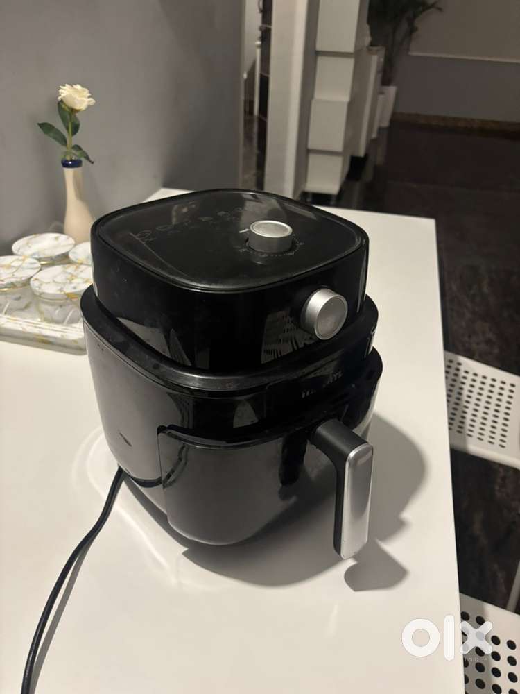 Turtle air fryer