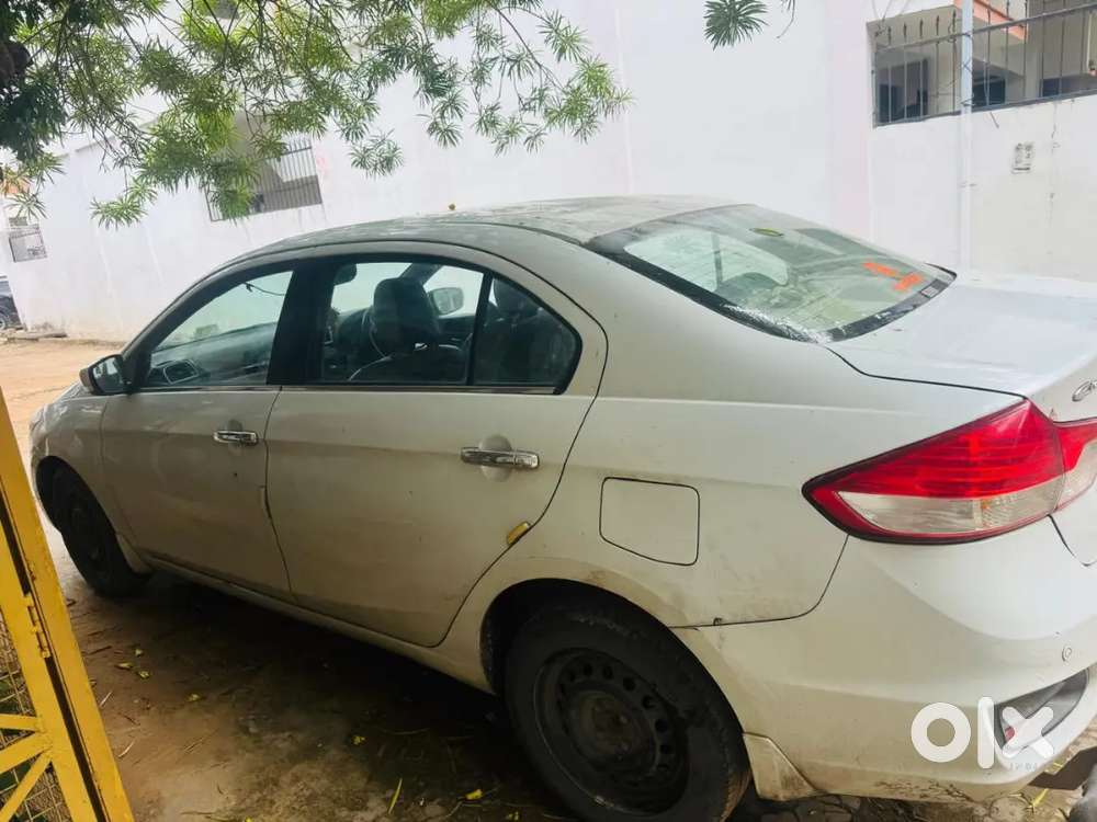 Ciaz Maruti Suzuki 2017