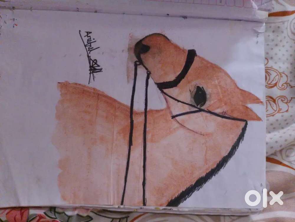 This is a horse art ugliest this hard on for 4 day