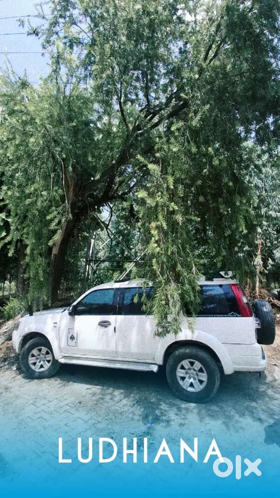 Ford Endeavour 2009 Diesel Manual
