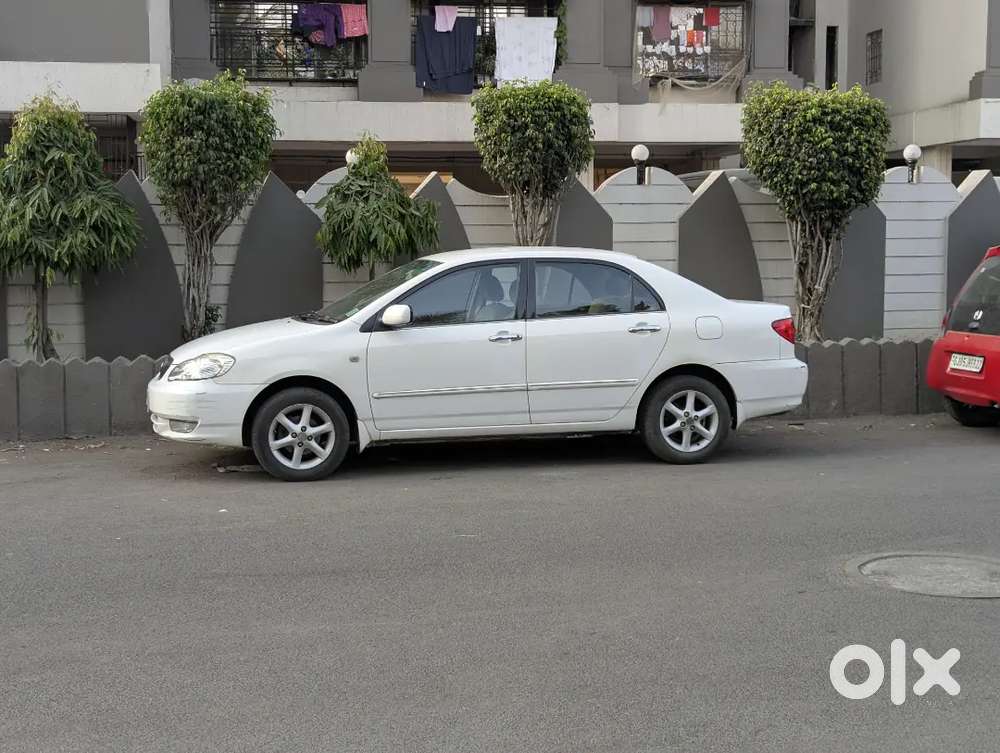 All Original Mint Condition