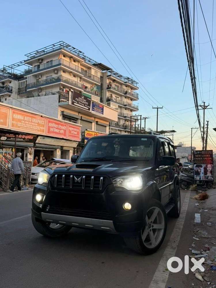 Black Scorpio Classic