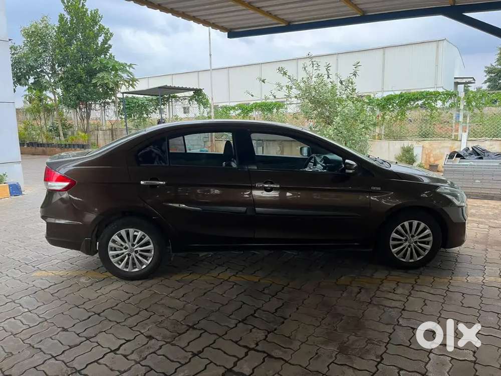 Maruti Suzuki Ciaz Zdi 2016 Diesel