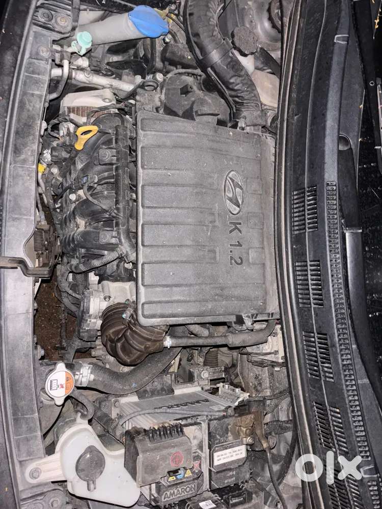 Hyundai Grand I10 2019 (november)petrol 15000 Km Driven