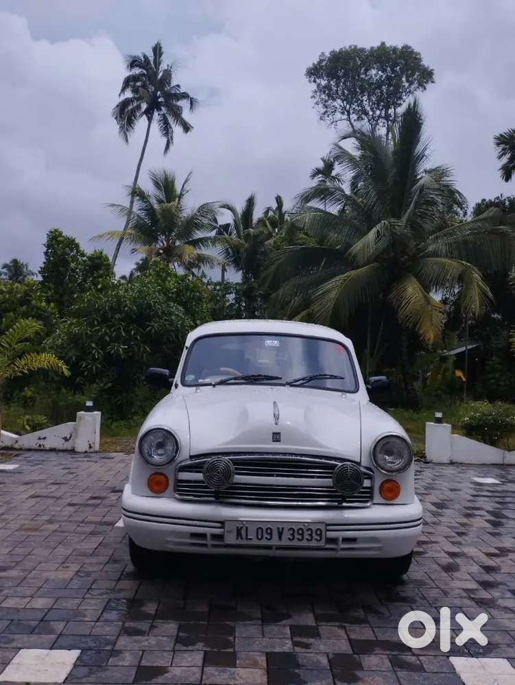 Ambassador For Sale