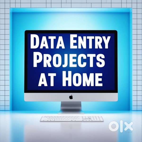 Home Based Data Entry Projects with computer