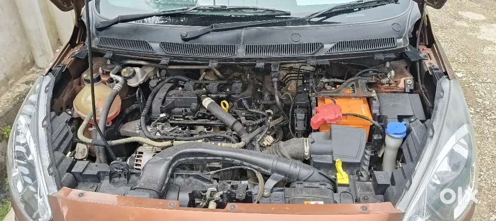 Ford Freestyle 2021 Petrol 34786 Km Driven