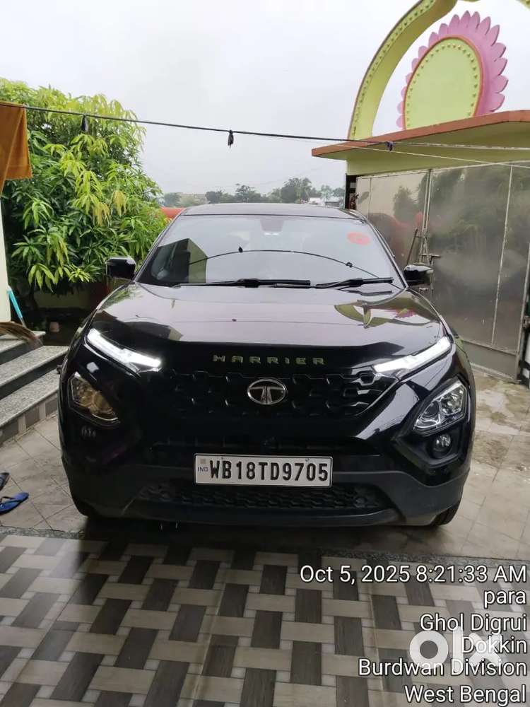Tata Harrier 2023 Petrol 30000 Km Driven