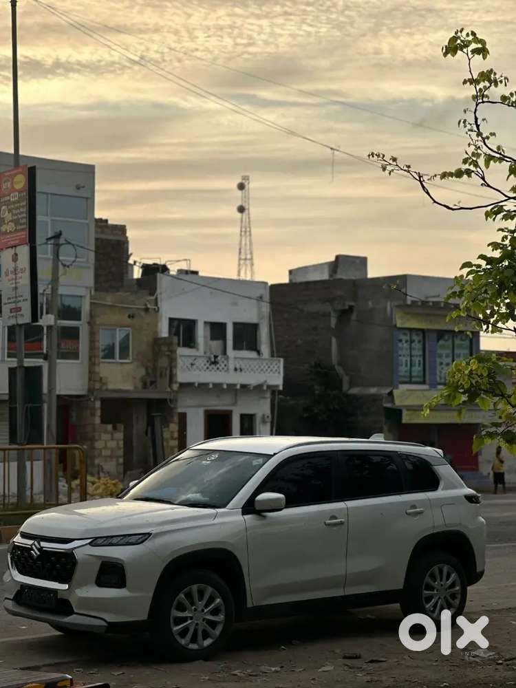 Maruti Suzuki Alpha 2025