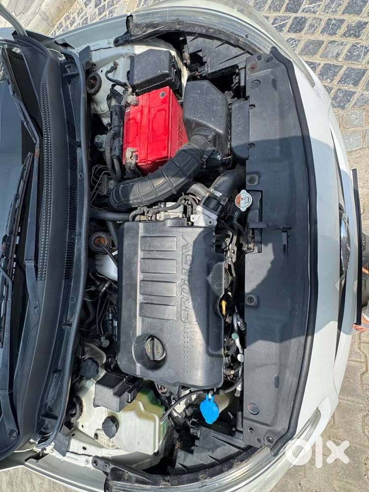 Fully Maintained