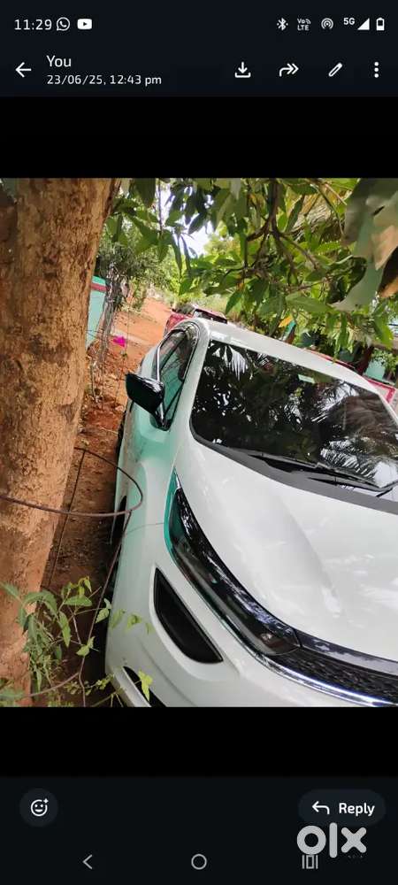 Tata Altroz 2024 Petrol 33500 Km Driven