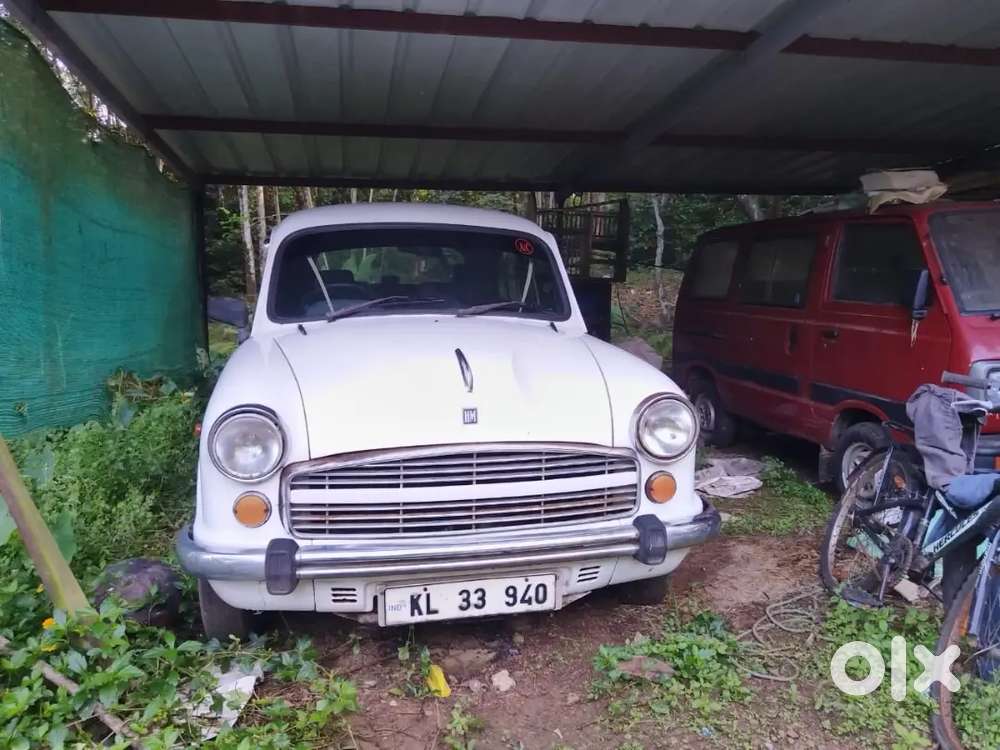 2006 Model Ambassador
