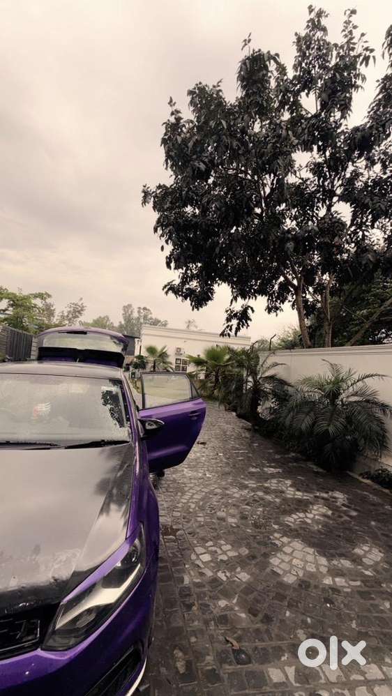 Volkswagen Car Petrol 2016