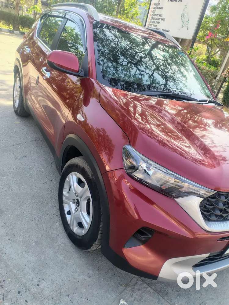 Red Beauty Colour German Buyer Contact Only