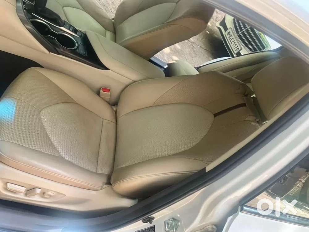 Toyota Camry Hybrid, 2024, Petrol