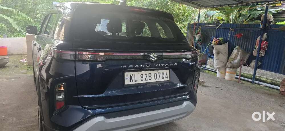 Maruti Suzuki Grand Vitara 2025 Petrol 3000 Km Driven