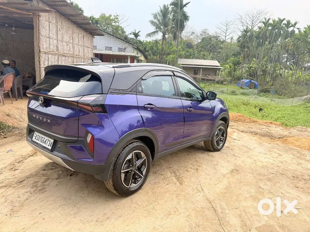 Tata Nexon 2025 Petrol 25377 Km Driven