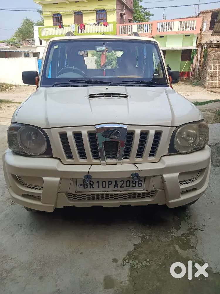 Patpariya Moran