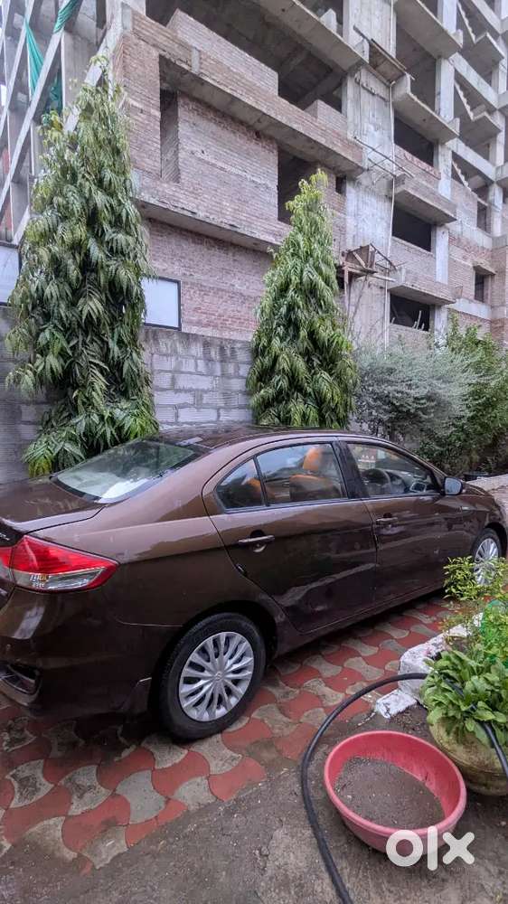 Maruti Suzuki Ciaz Diesel 2017
