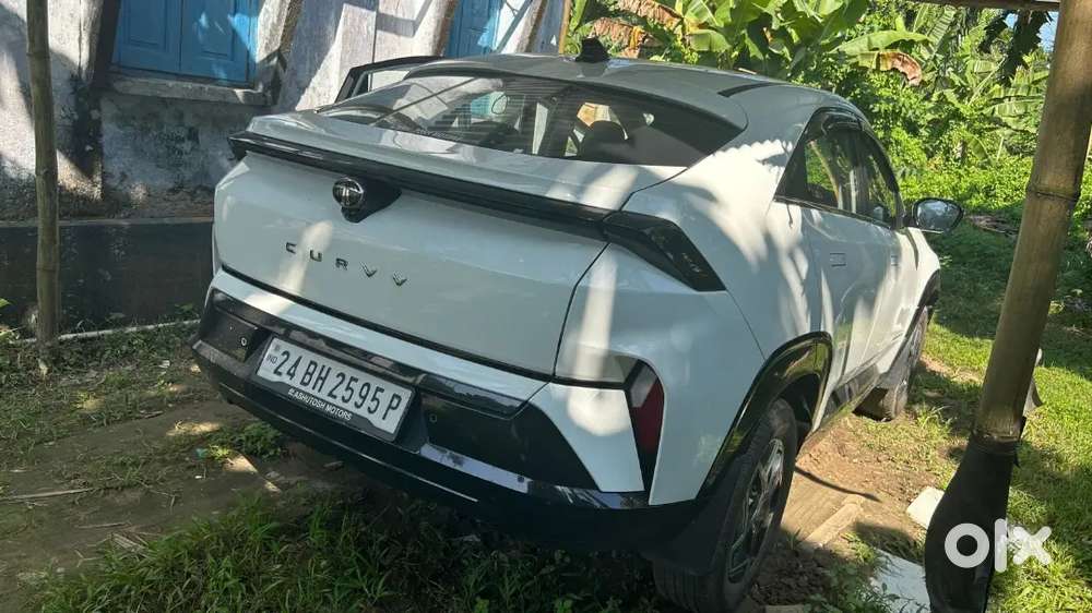 Tata Curvv Petrol Well Maintained