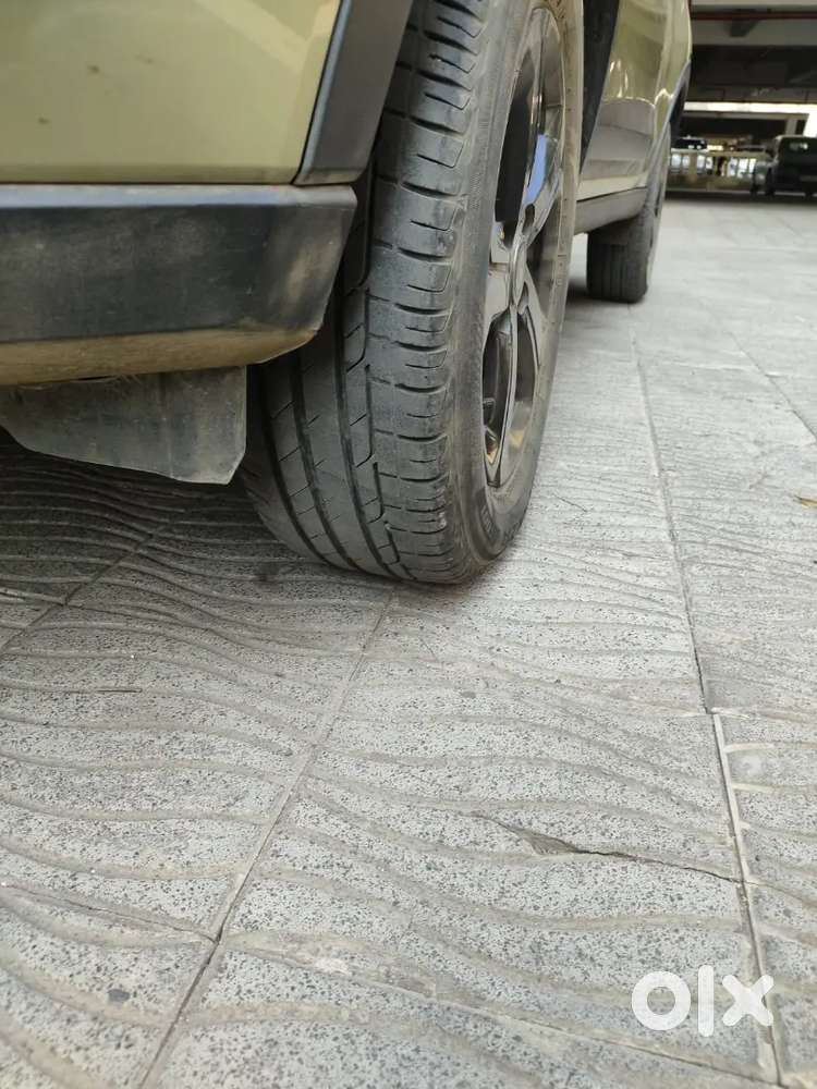 Tata Nexon Kaziranga Special Edition, Diesel Amt