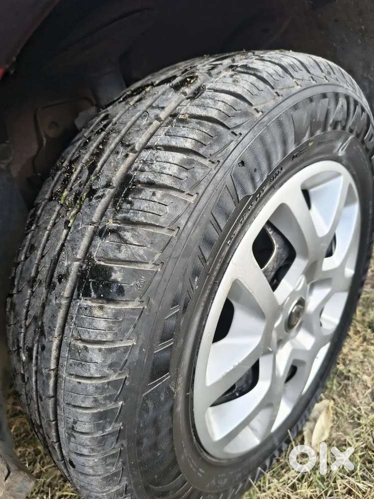 Government Servent Car