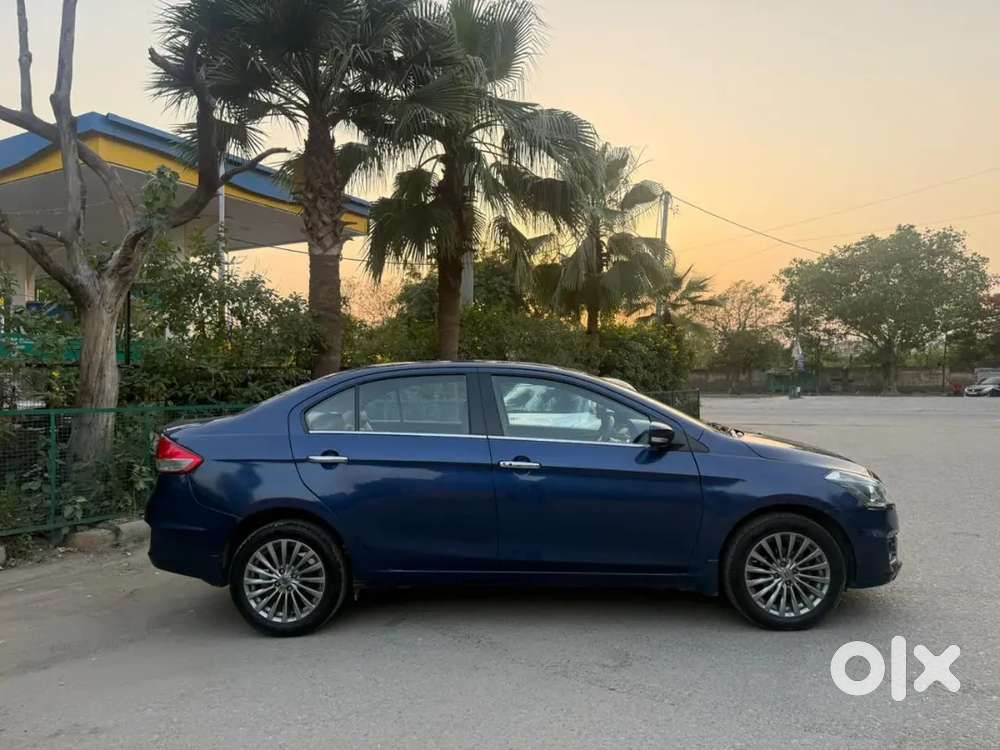 Ciaz Alpha Top Model