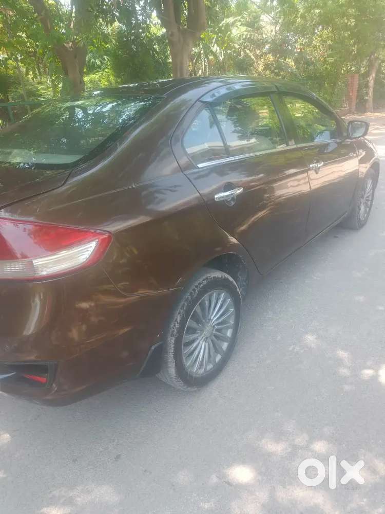 Ciaz Diesel Zdi 2016 November Fully Insured New Tyres Push Start