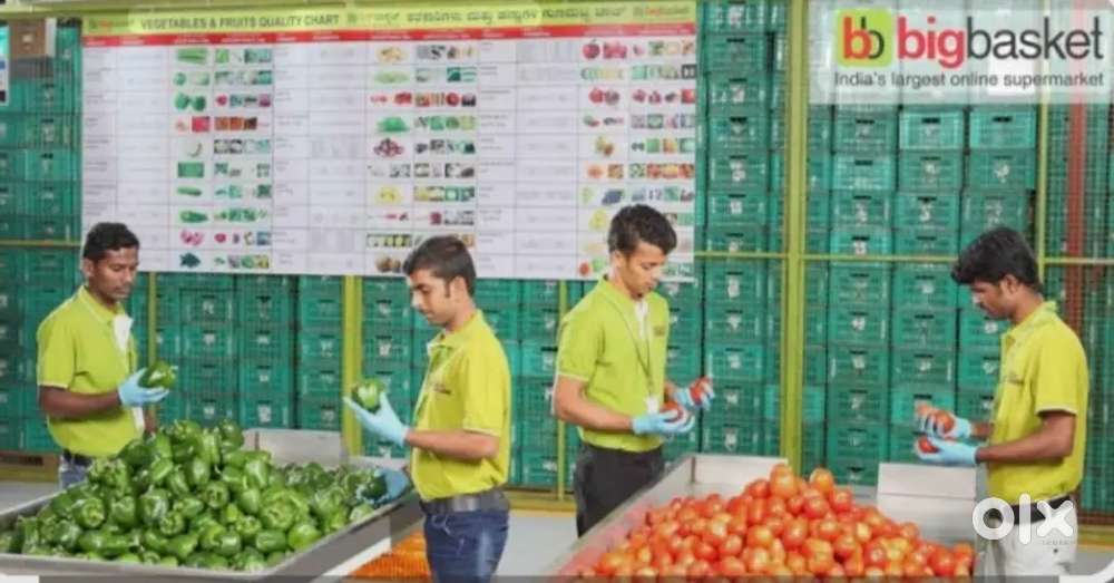 BIGBASKET hiring store associates at @ Alkapuri
