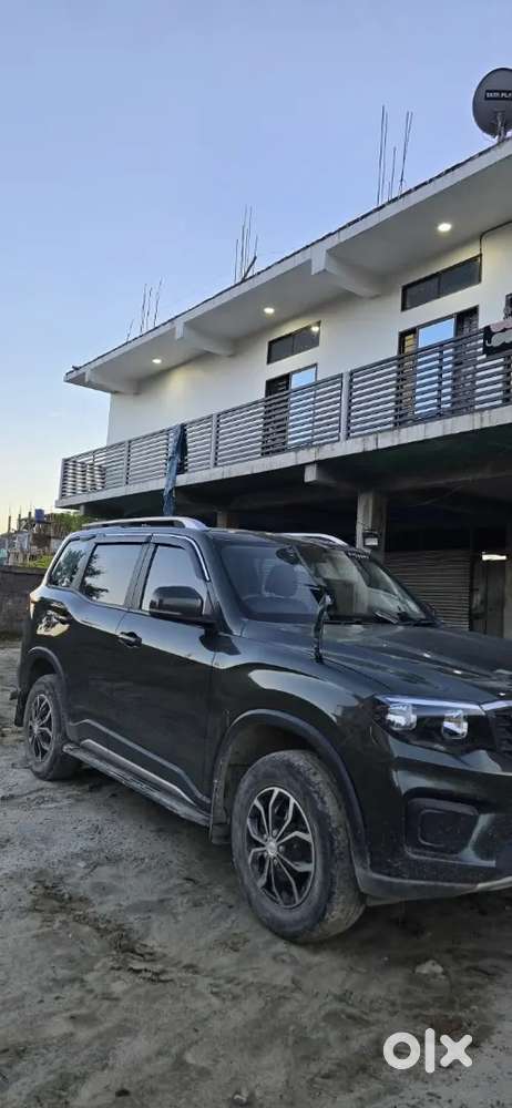 Scorpio N  Z6
