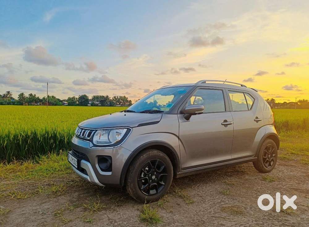 Maruti Suzuki Ignis Amt 2023 Petrol Well Maintained