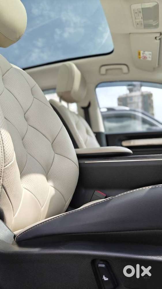 Mg Windsor Ev Essence Pro, 2025, Electric