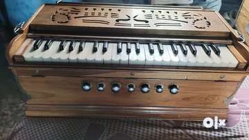 German reed deals harmonium price