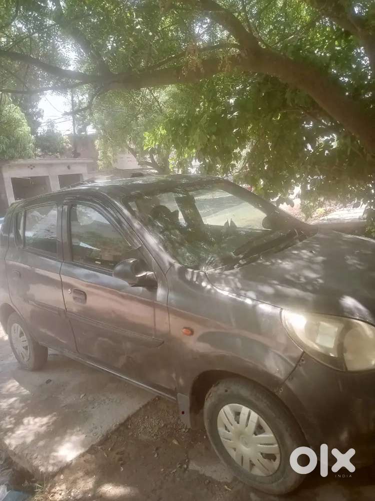 Alto800 13 Model Cng Company Fitted