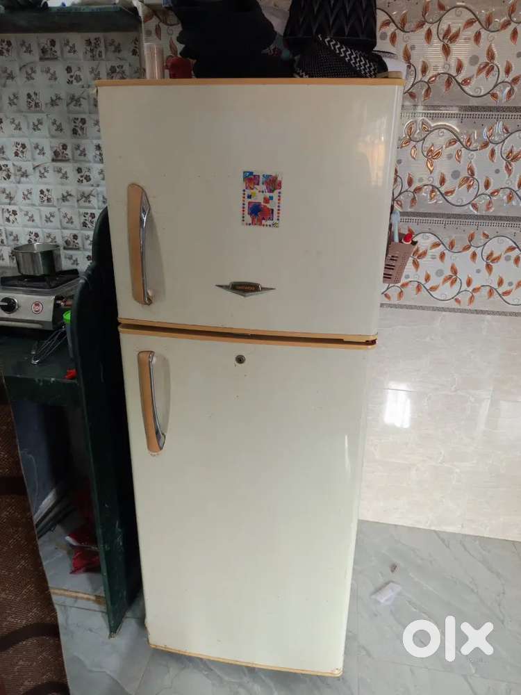 Fridge electronic