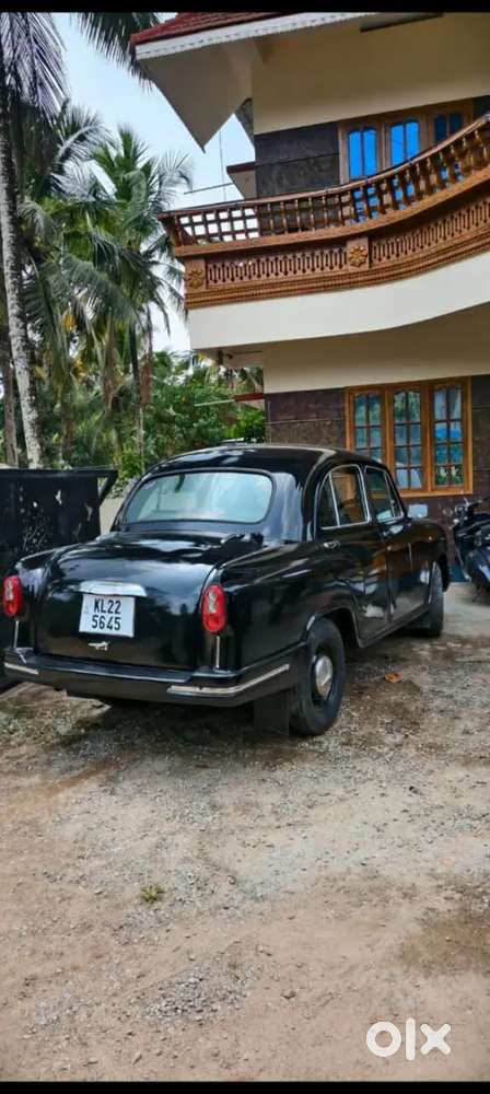 Black Ambassador 2007 For Sale