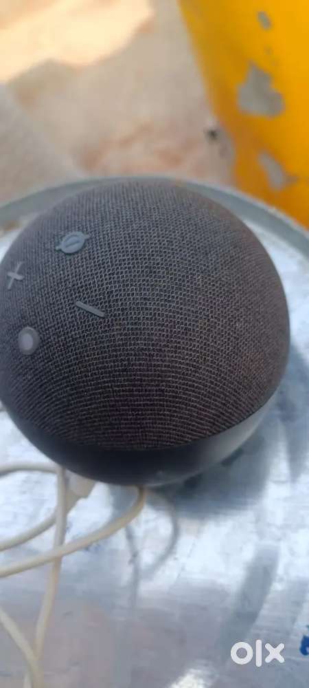 Alexa 5 generation