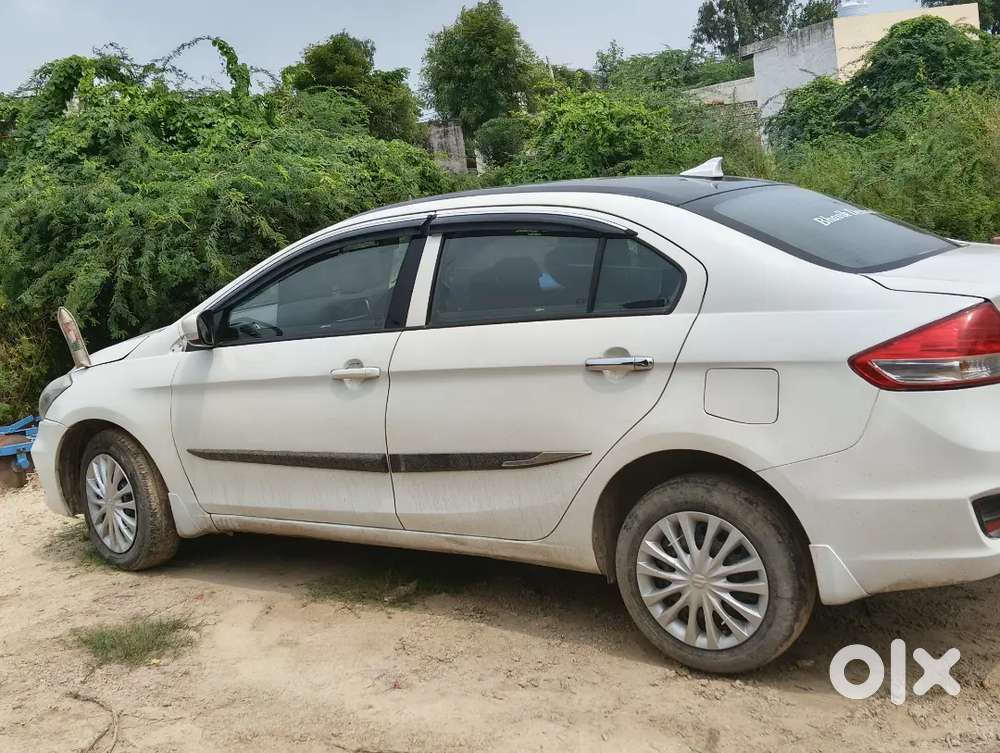 Maruti Sigma Ciaz 2023