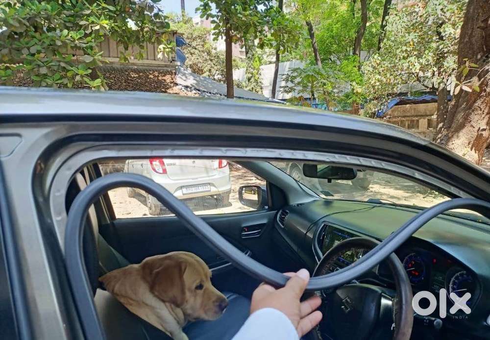 Maruti Suzuki Baleno 2019 Petrol 74000 Km Driven