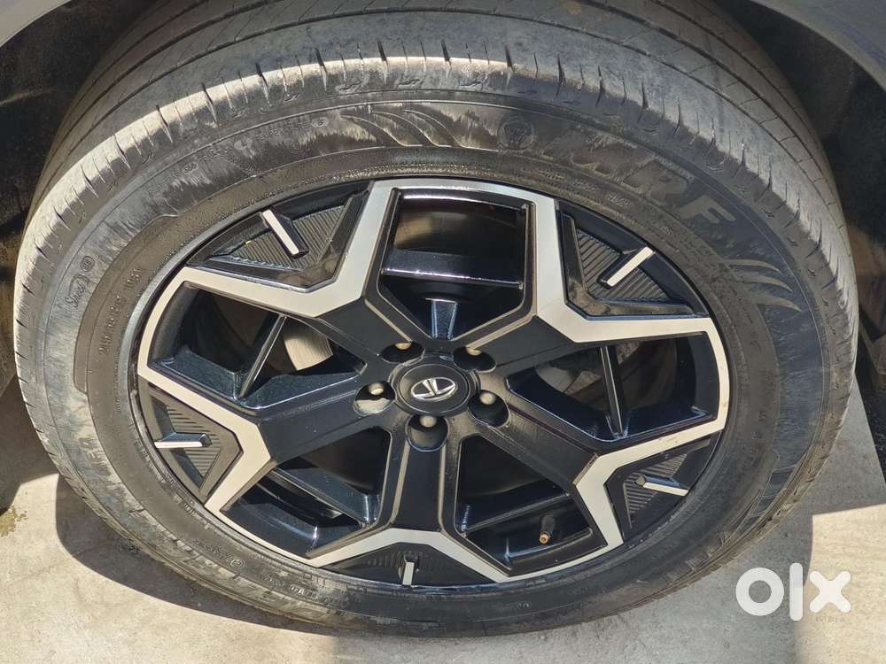 Tata Safari Accomplished Dual Tone At, 2024, Diesel