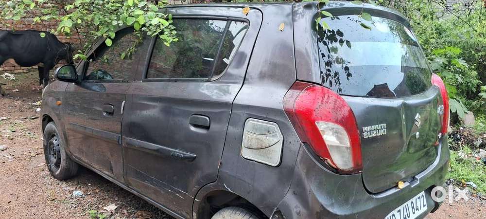 Alto 800 Vxi Model