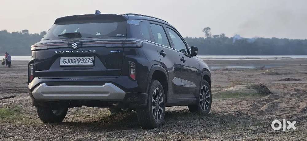 Maruti Suzuki Grand Vitara 2024 Petrol Well Maintained