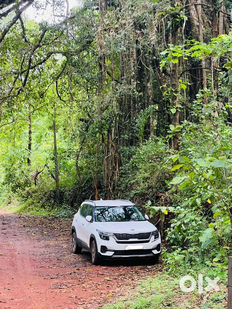 Kia Seltos 2021 Petrol 29000 Km Driven