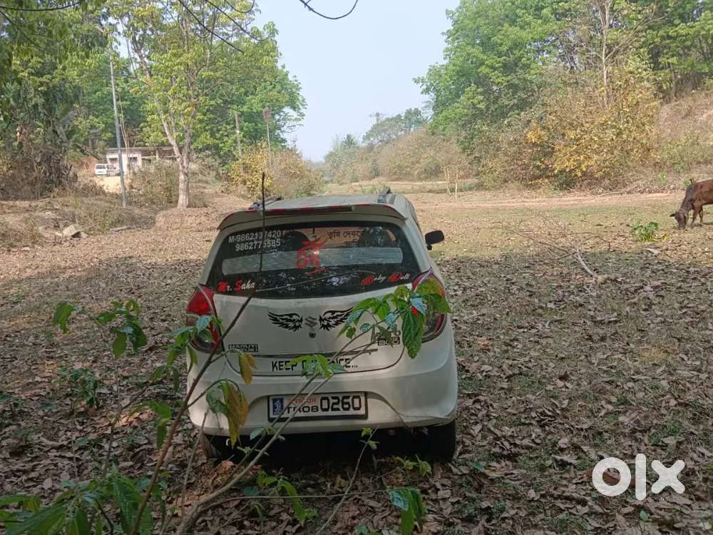 Alto 800 Car
