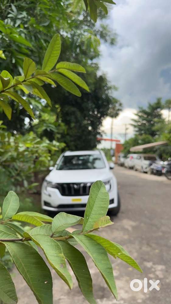 Mahindra Xuv700 2023 Diesel Well Maintained