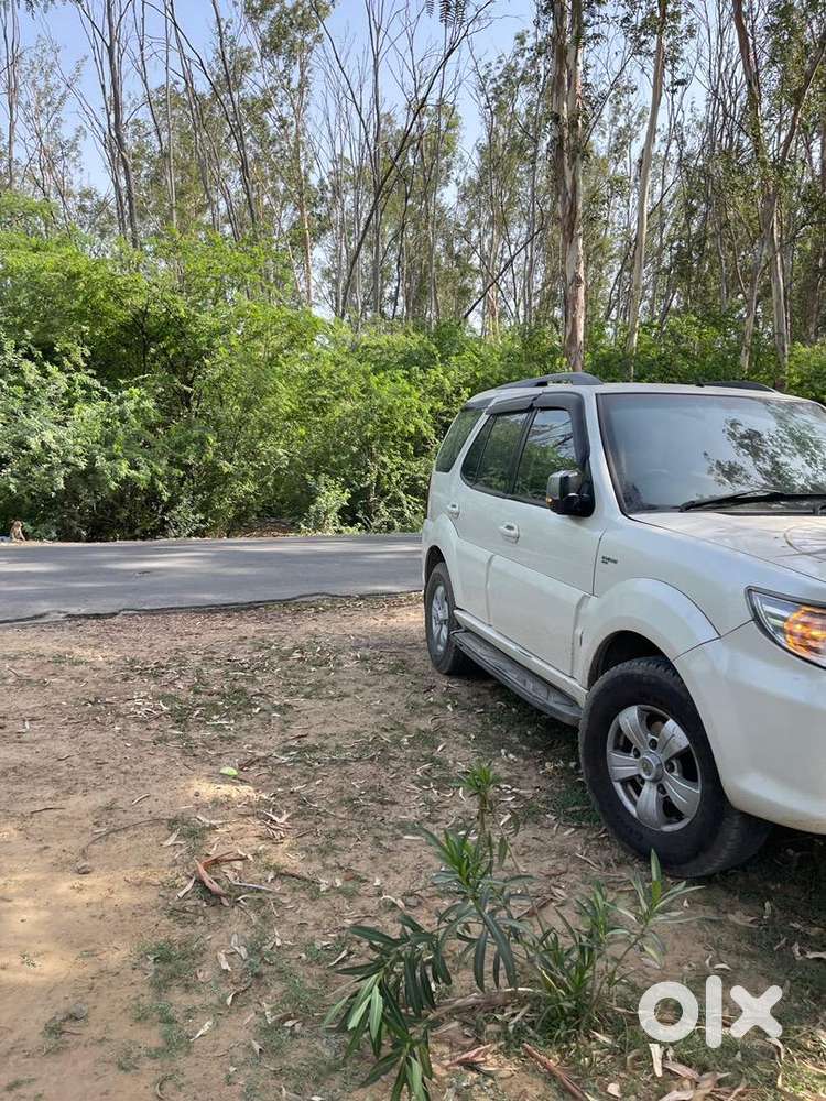 Tata Safari Storme Diesel 2016 Varicor 400 6 Gear With Vip No.