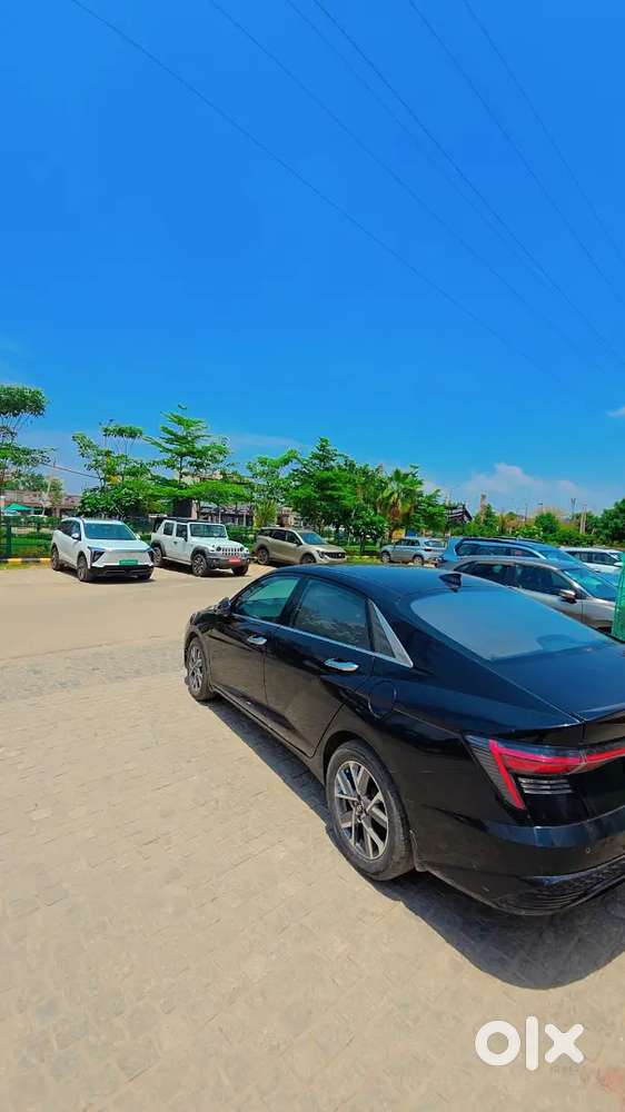 Hyundai Verna 2024 Petrol 37000 Km Driven